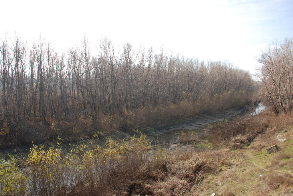 Islaz Villa Giulia מראה חיצוני תמונה